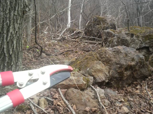 2010042910510000.jpg
