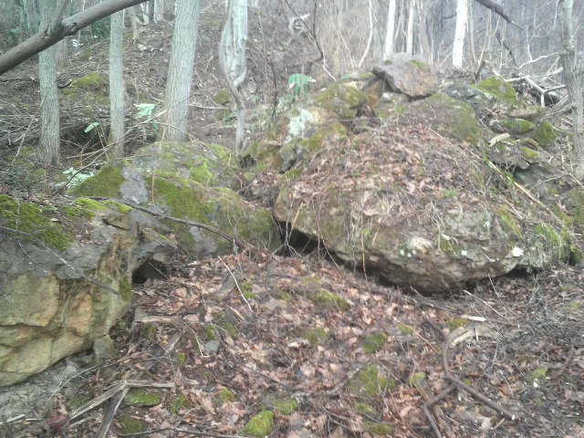 2010042913450000.jpg