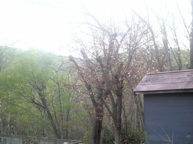 2010051516130000.jpg