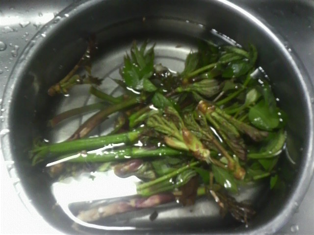 2010051616530000.jpg