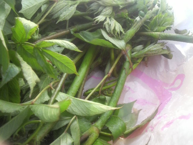 2010052217180000.jpg