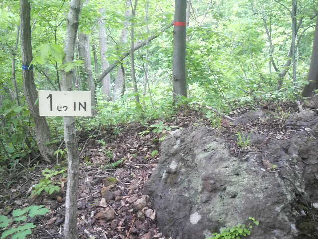 2010060213010000.jpg