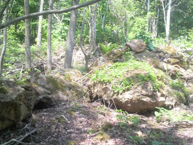 2010060612440000.jpg