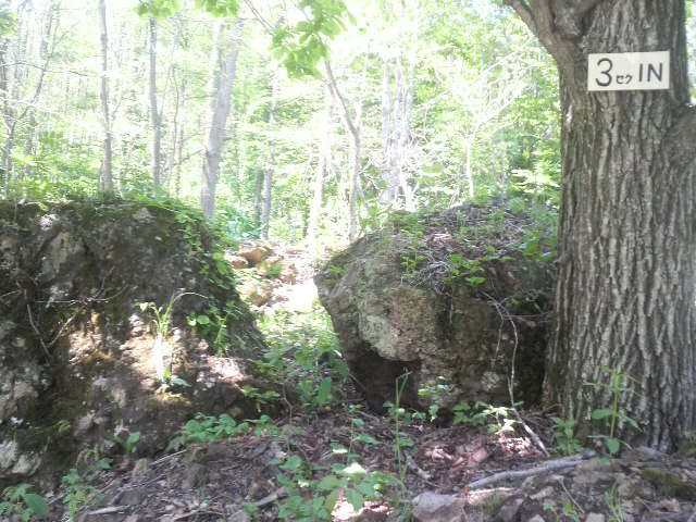 2010060612440001.jpg