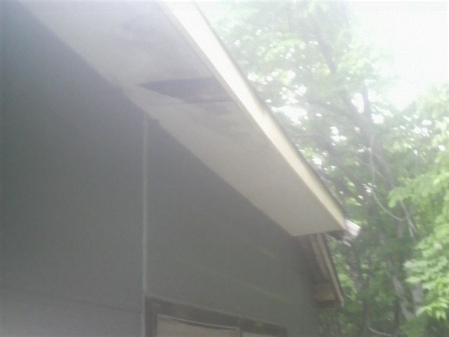 2010061318110000.jpg