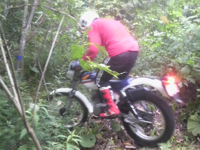 2010081513380000.jpg
