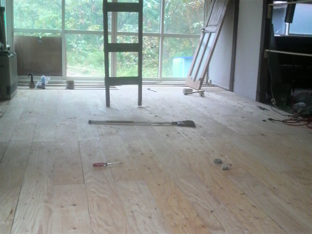 2010101714080000.jpg
