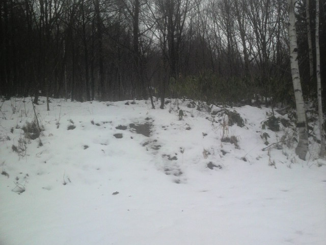 2010121112370000.jpg