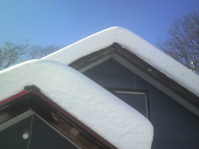 2011011013170000.jpg
