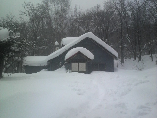 2011011613480000.jpg