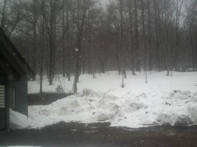 2011040212310001.jpg