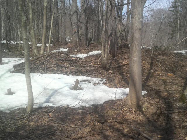 2011041913310000.jpg