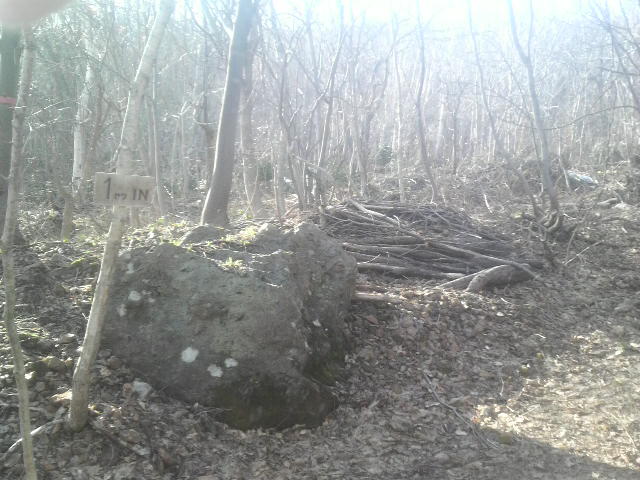 2011042916040000.jpg