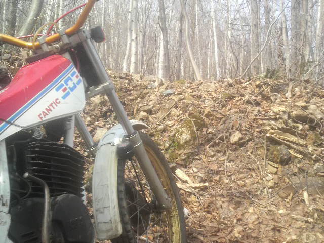 2011043013580000.jpg