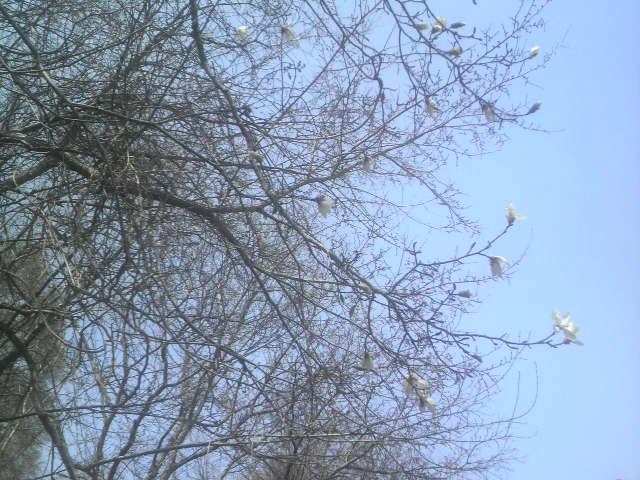 2011043014050000.jpg