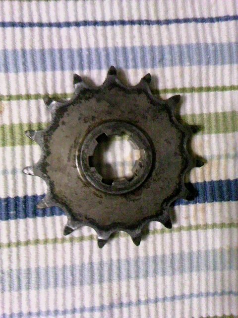 TS3Y0549.jpg