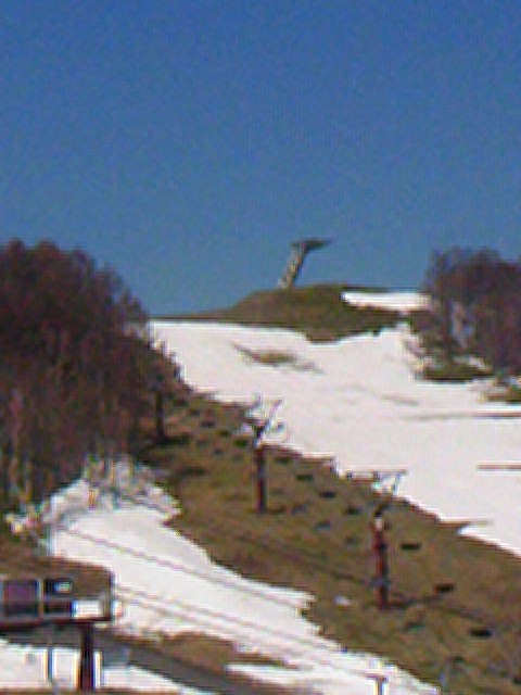 TS3Y0606.jpg