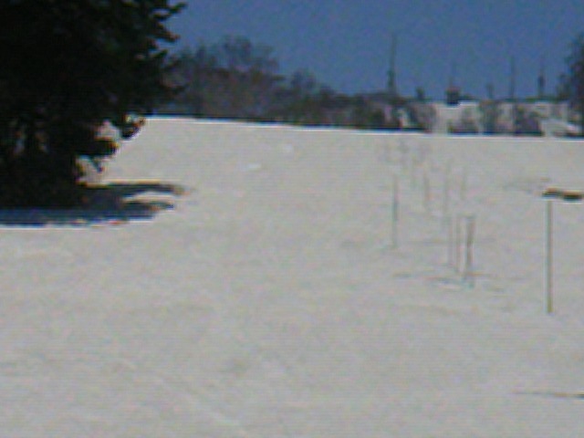 TS3Y0607.jpg