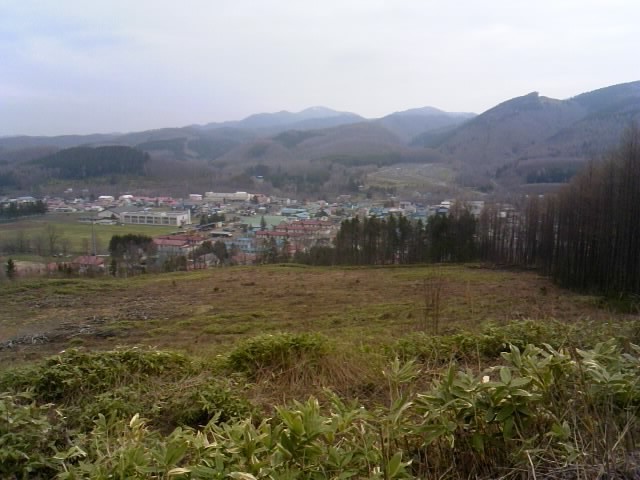 TS3Y1282.jpg