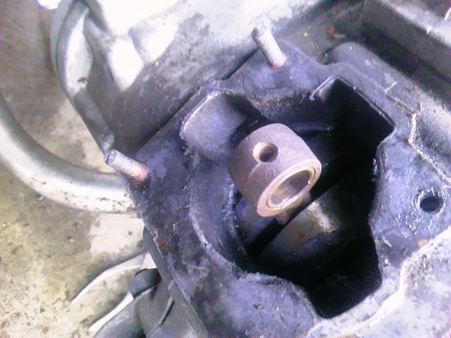 TS3Y1380.jpg