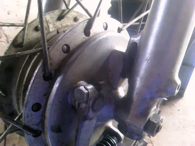 TS3Y1466.jpg