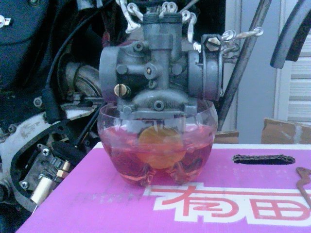 TS3Y2099.jpg
