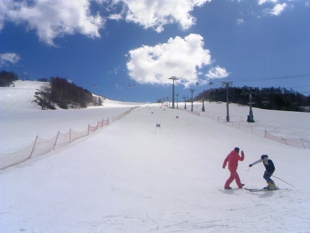 TS3Y2229.jpg