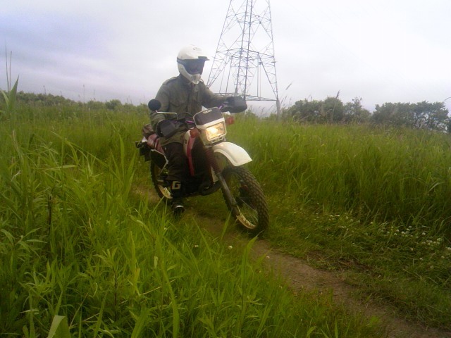 TS3Y2400.jpg