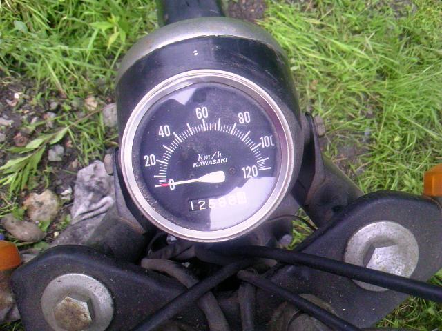 TS3Y2433.jpg