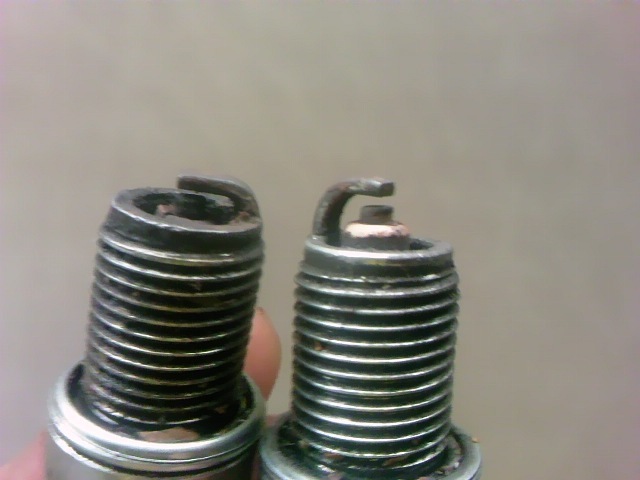 TS3Y2539.jpg