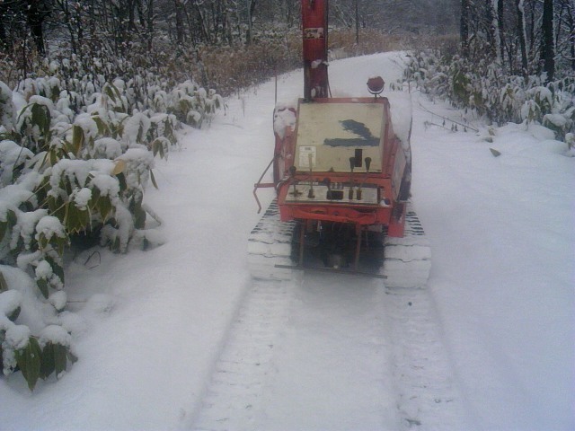 TS3Y3102.jpg