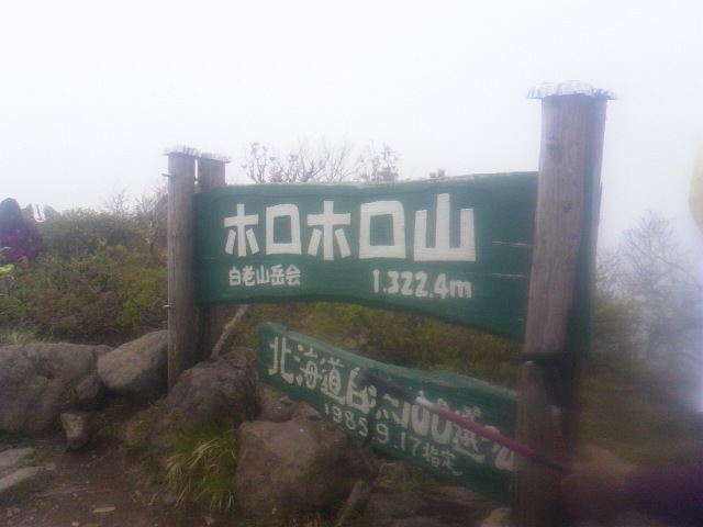 TS3Y3317.jpg