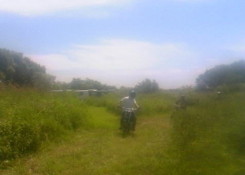 TS3Y3357.jpg