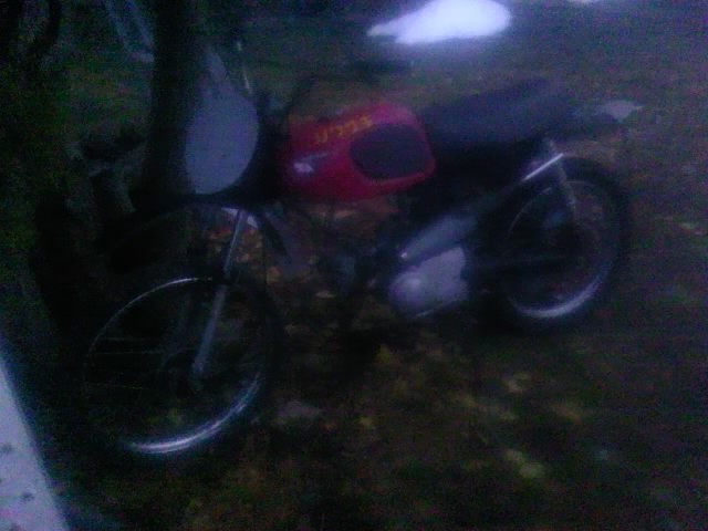 TS3Y3503.jpg