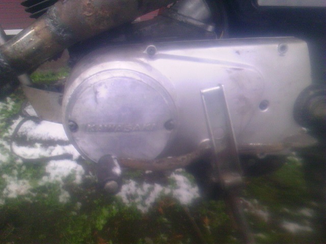 TS3Y3504.jpg