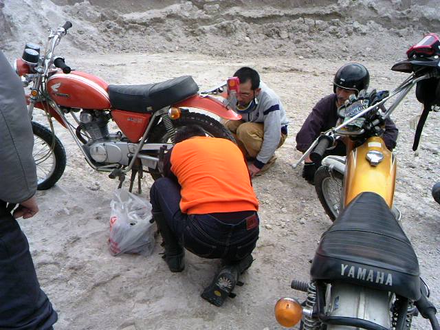 search.jpg