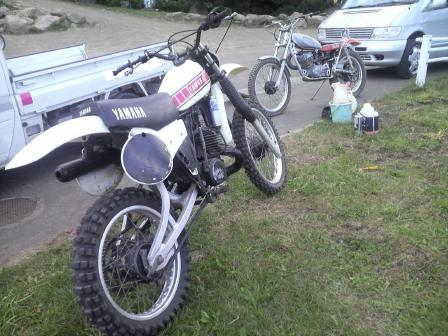 yz&rl.jpg